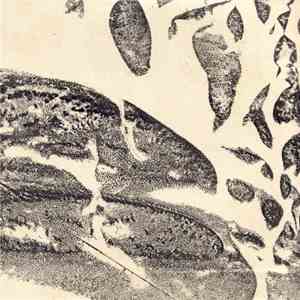 Andrew Chalk - The River That Flows Into The Sands download free