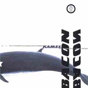 Bacon  - Kamel download free