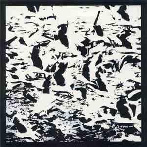 Bestial Mouths - Gulls download free