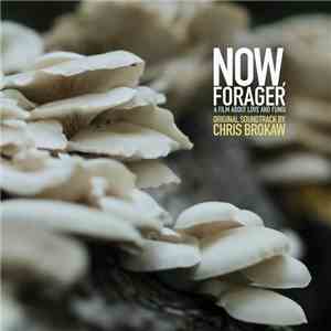 Chris Brokaw - Now, Forager (Original Soundtrack) download free