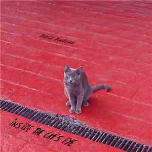 David Dondero - Inside The Cat's Eye download free