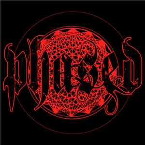 Phased - Phased download free