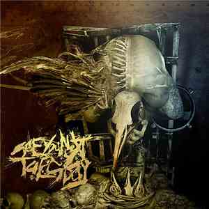 See You Next Tuesday - Parasite download free