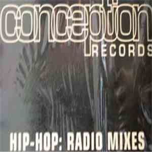 Various - Hip-Hop: Radio Mixes download free