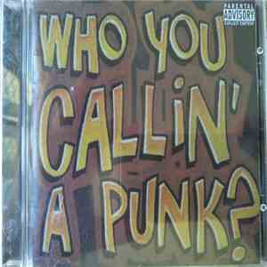 Various - Who You Callin' A Punk? download free